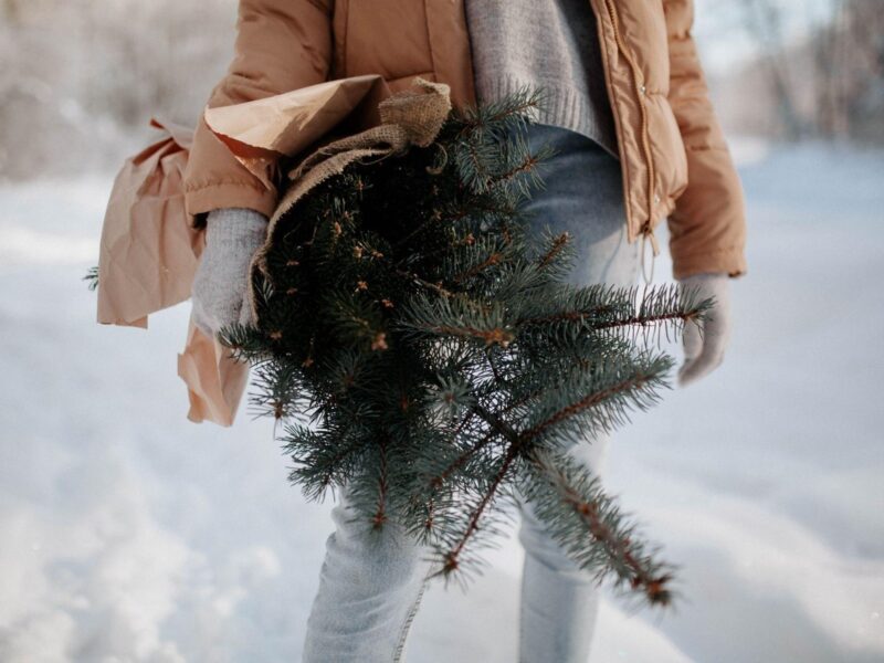 Brighten Your Holidays with Full Artificial Christmas Trees