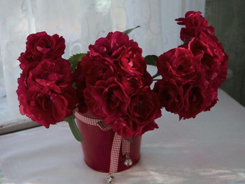 Transform Your Space With Beautiful Fake Plants